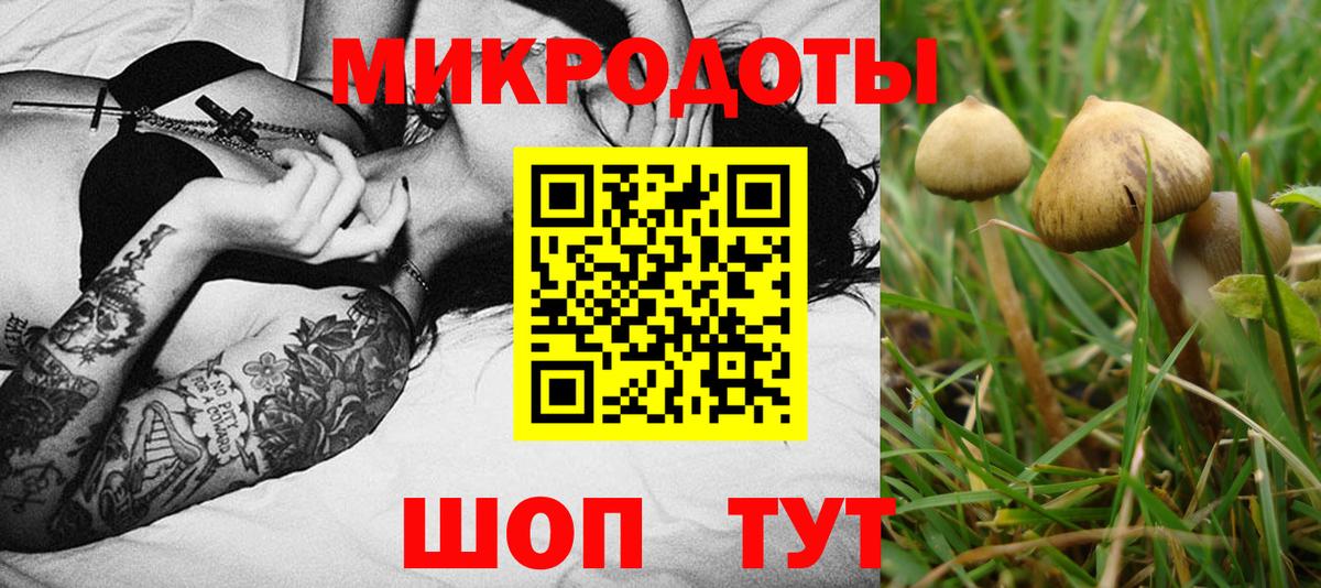 Озёрск  Псилоцибиновые грибы мухоморы  Вход с VPN 